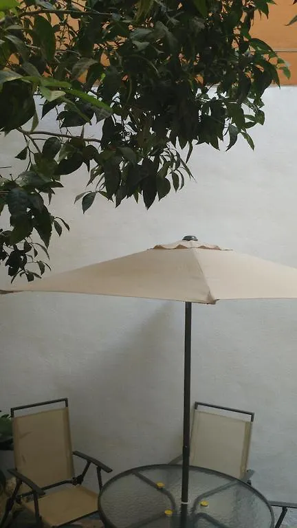 Διαμέρισμα Apartamentos Fernando El Catolico Μάλαγα